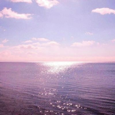 半岛综合app官网登录