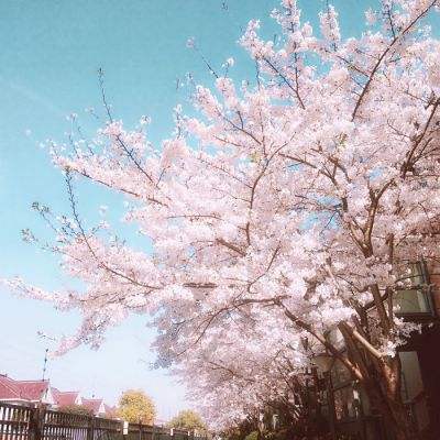 kaiyun·开云