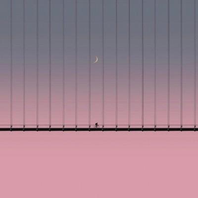 半岛综合APP