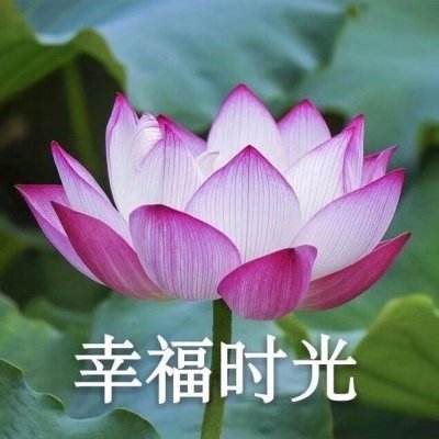 kok在线官网入口
