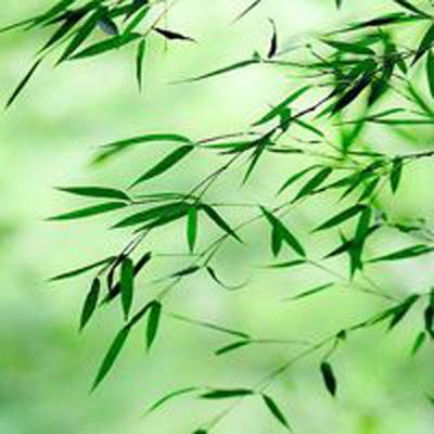 中欧体育app下载入口