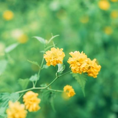 ag手机版下载