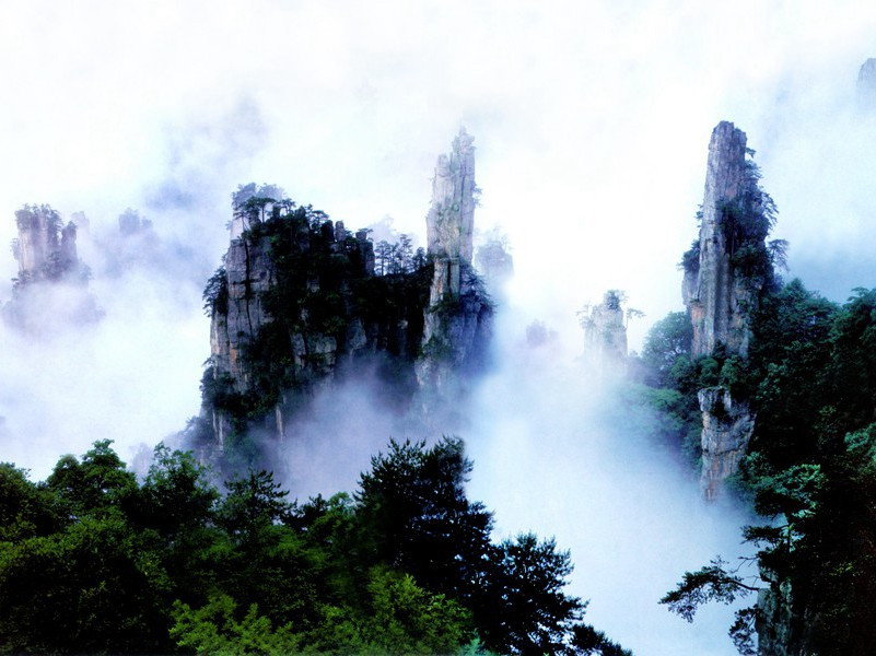 《雨霖铃·种柳》(横塘如练)原文翻译赏析-纳兰性德诗词