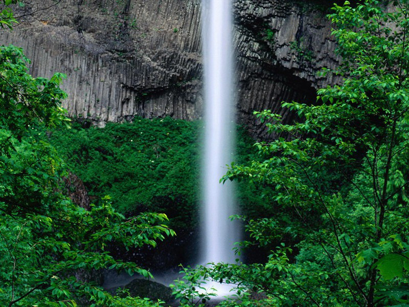 "九日登高处,群山入望赊"出处意思赏析