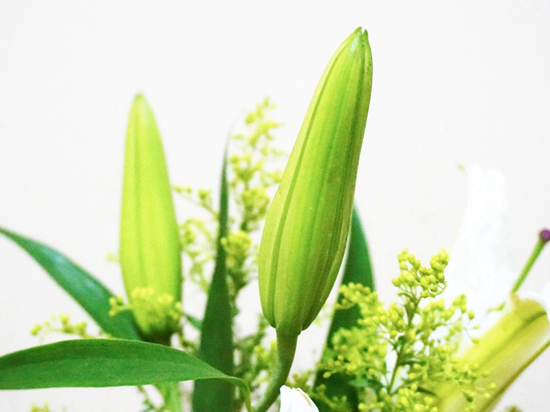 "最伤今夜离愁曲,遥对天涯愈断肠"出处意思赏析