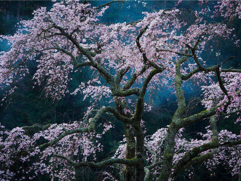 辛弃疾《水龙吟·题雨岩》原文赏析-宋词三百首第175首