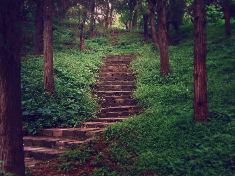 "山川萧条极边土,胡骑凭陵杂风雨"的意思出处赏析