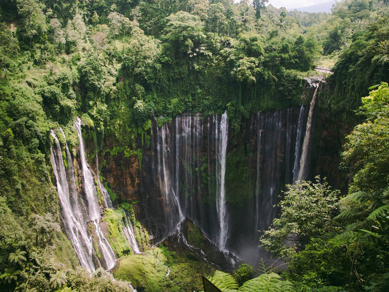 "山桃红花满上头,蜀江春水拍山流"出处意思赏析