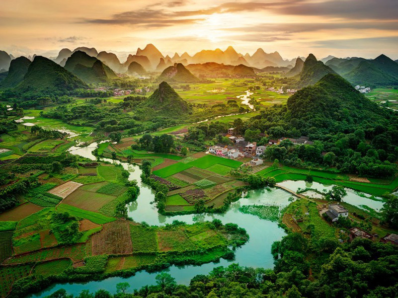 "旦夕是重阳,菊有黄花蕊,只怕又登高,未饮心先醉"出处意思赏析