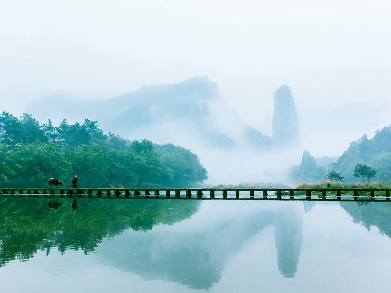 "惊风乱飐芙蓉水,密雨斜侵薜荔墙"出处意思赏析