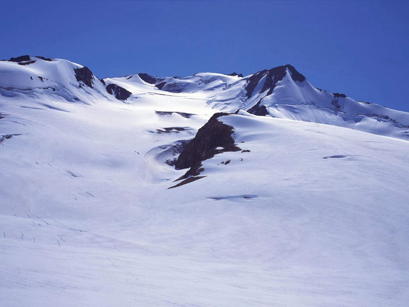 "春还草阁梅先动,月满虚庭雪未消"出处翻译赏析