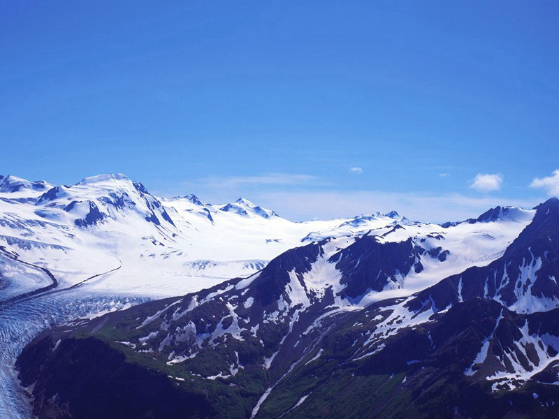 "东风未肯入东门,走马还寻去岁村"出处意思赏析