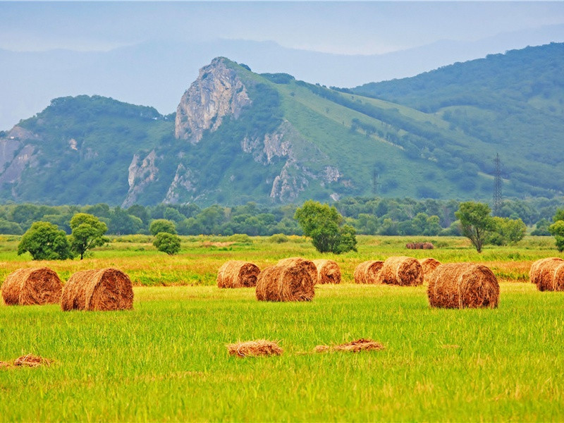 "豆子山,打瓦鼓"的意思出处赏析