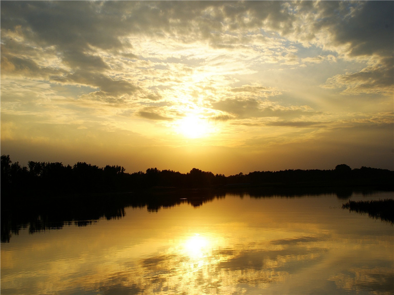 "朱雀桥边野草花,乌衣巷口夕阳斜"出处翻译赏析