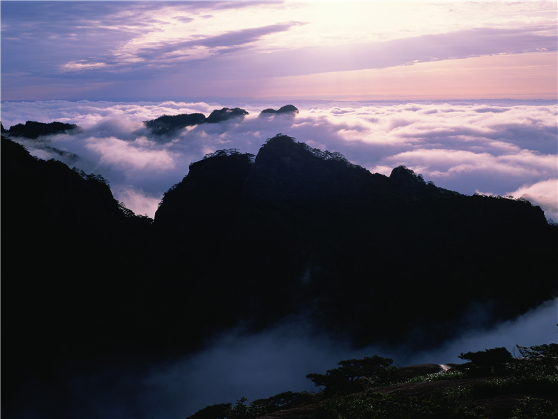 "山城寒食已冷落,更值暴雨过园林"出处意思赏析