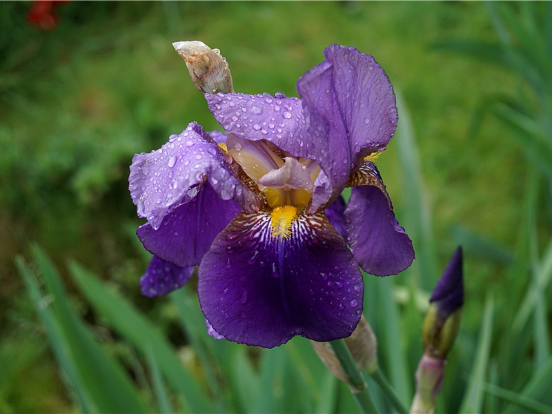 "枕上潜垂泪,花间暗断肠"出处意思赏析