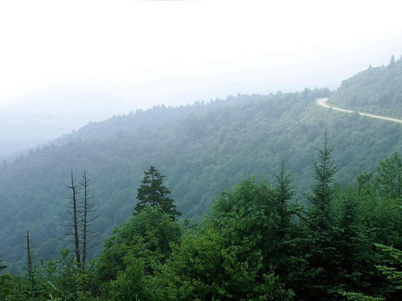 "迎醉面,暮雪飞花,几点黛愁山暝"出处意思赏析